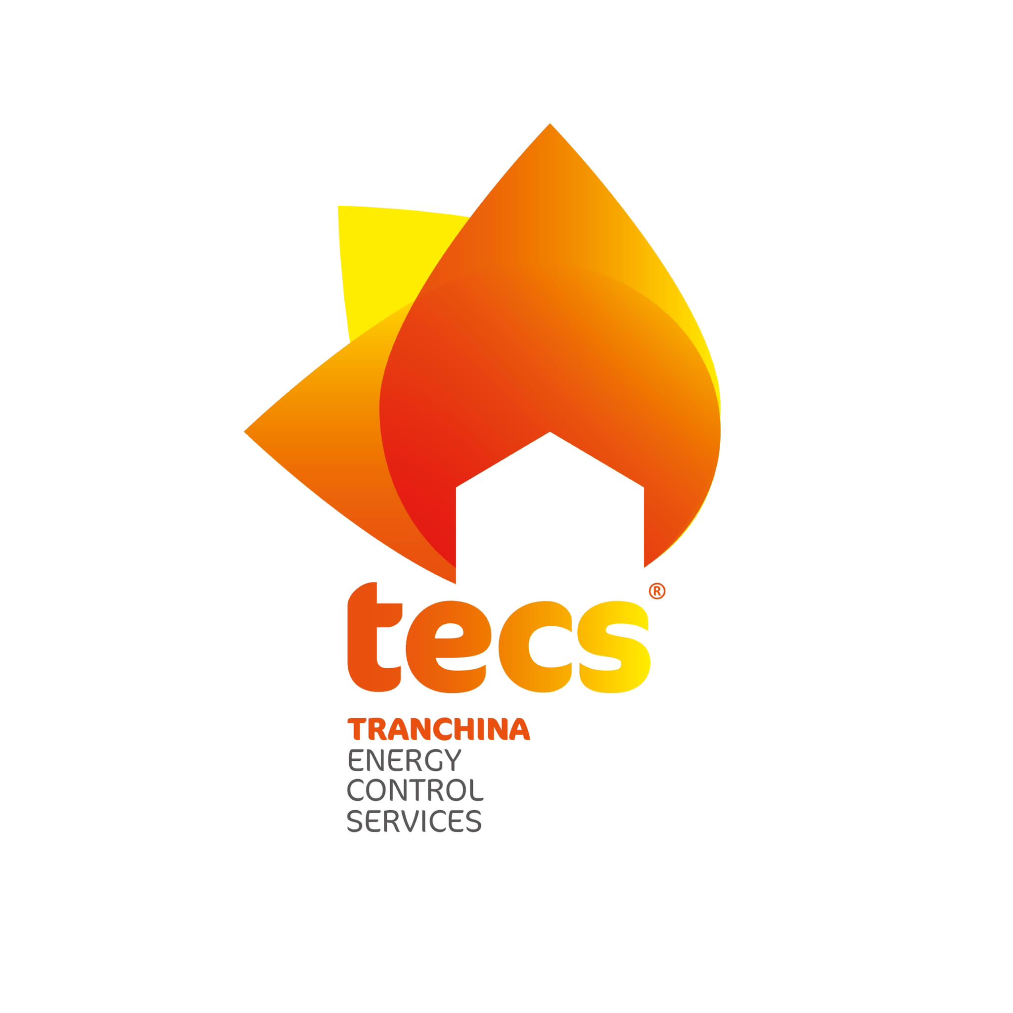 Logo TECS S.R.L.